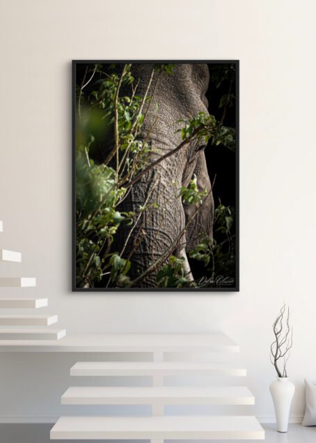 Elephant - Image 3
