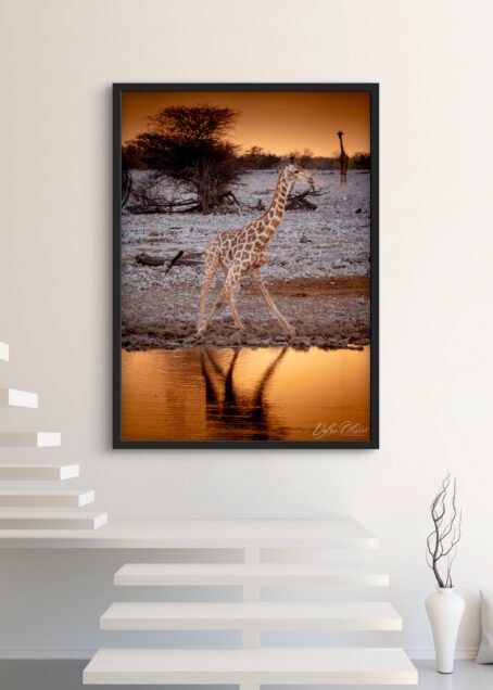 Girafe - Image 3