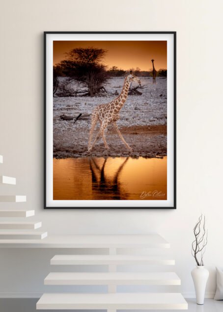 Girafe - Image 2