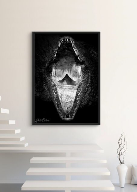 Crocodile - Image 3