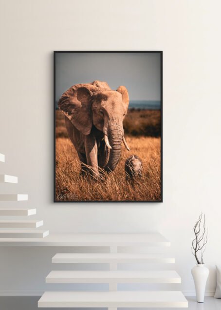 Eléphants - Image 3