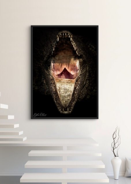 Crocodile - Image 3