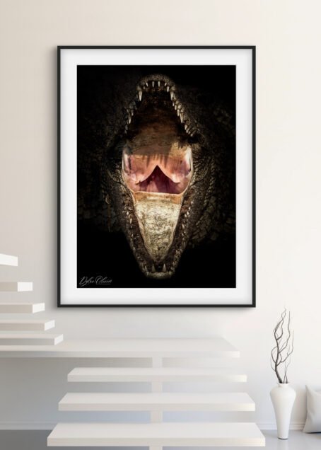 Crocodile - Image 2