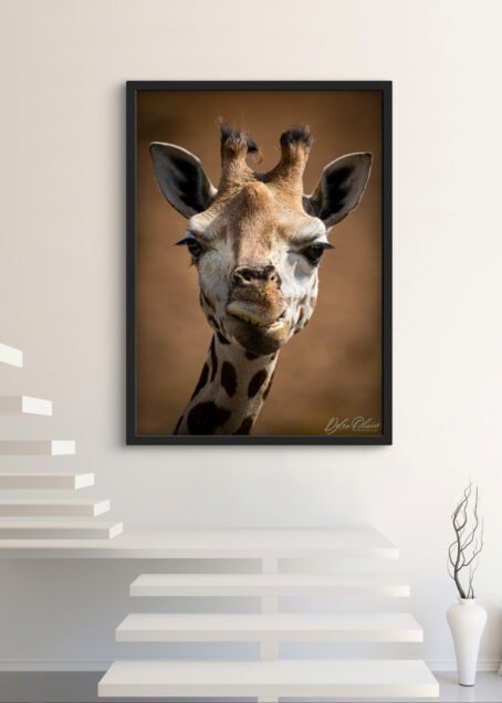 Giraffe - Image 3